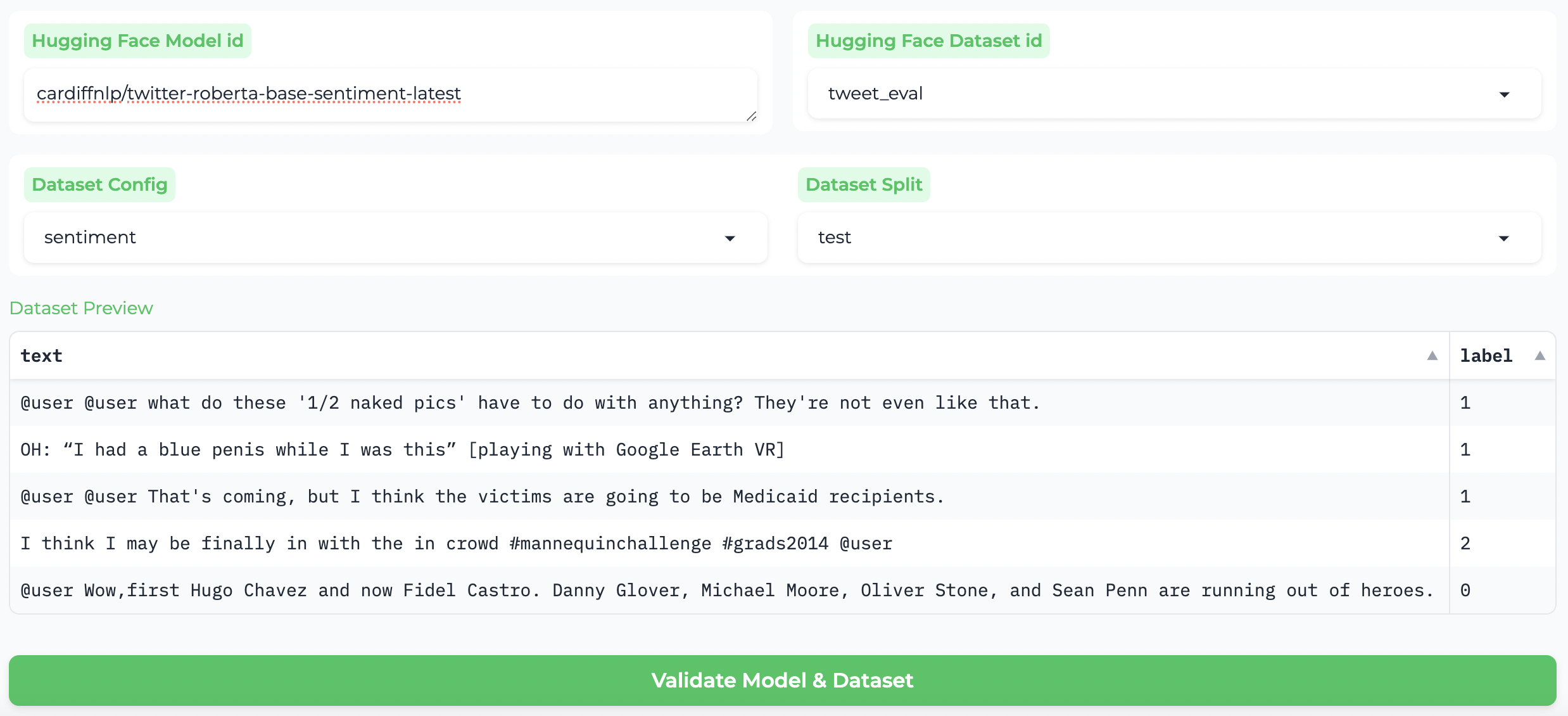 Model and dataset checking
